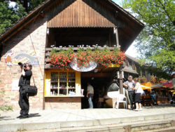 Spreewald 2011